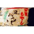 画像1: モヤシ (1)