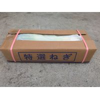 中国産長ねぎ