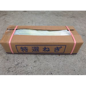 中国産長ねぎ